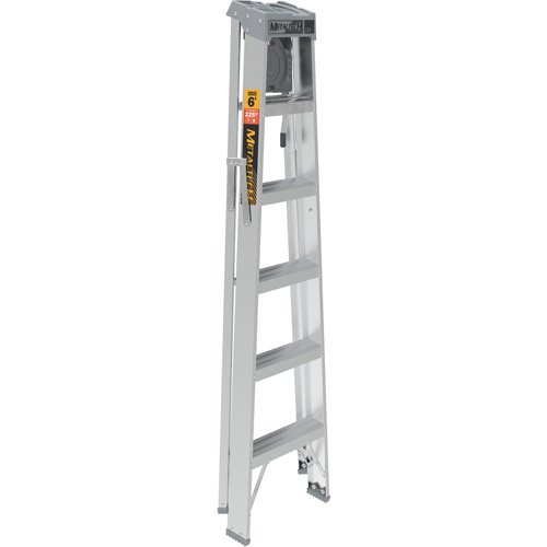 Step Ladder with Paint Tray, 6', Aluminum, 225 lbs. Capacity, Type 2 Stor-it Systems