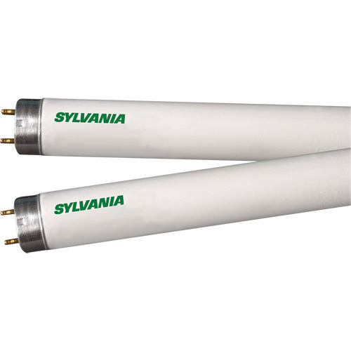 Lampes fluorescentes, 32 W, T8, 4100 K, Longueur de 48" Stor-it Systems