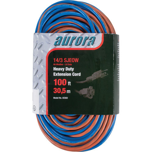 Cordon rallonge en caoutchouc TPE avec indicateur lumineux, Toutes saisons, SJEOW, AWG 14/3, 13 A, 100' Stor-it Systems