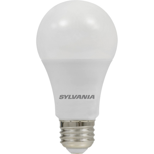 Ampoule DEL, A19, 8,5 W, 800 lumens, base Moyen Stor-it Systems