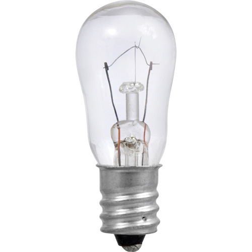 Ampoule incandescente S6 Stor-it Systems