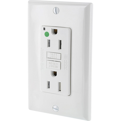 SmartlockPro&reg; Extra Heavy-Duty Self-Test GFCI Receptacle Stor-it Systems