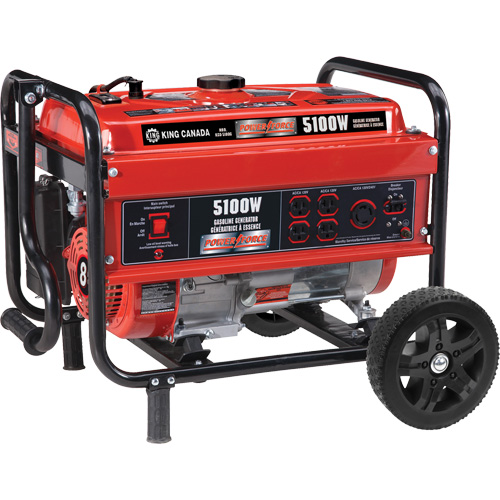 G&eacute;n&eacute;ratrice avec ensemble de roues, 5100 W de surtension, 4000 W nominale, 120 V/240 V, R&eacute;servoir de 15 L Stor-it Systems