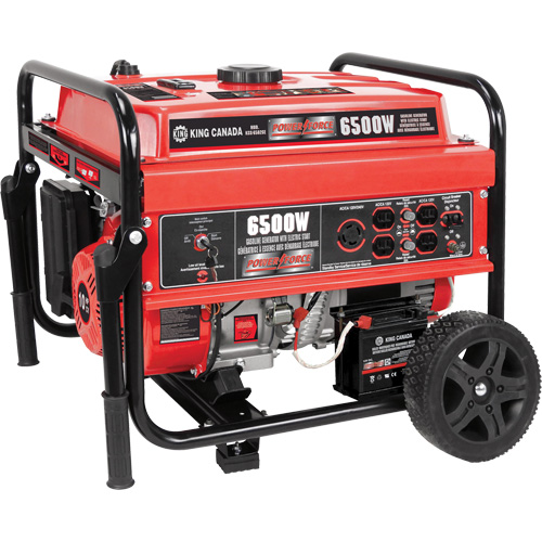 G&eacute;n&eacute;ratrice &agrave; essence &agrave; d&eacute;marrage &eacute;lectrique avec ensemble de roues, 6500 W de surtension, 5000 W nominale, 120 V/240 V, R&eacute;servoir de 20 L Stor-it Systems