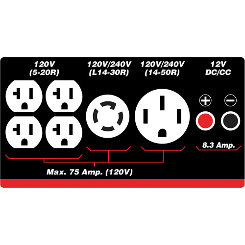 G&eacute;n&eacute;ratrice &agrave; essence/propane &agrave; d&eacute;marreur &eacute;lectrique Stor-it Systems