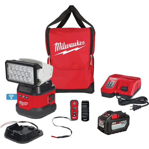 Ensemble d'&eacute;clairage orientable polyvalent &agrave; t&eacute;l&eacute;commande, DEL, 4250 lumens Stor-it Systems