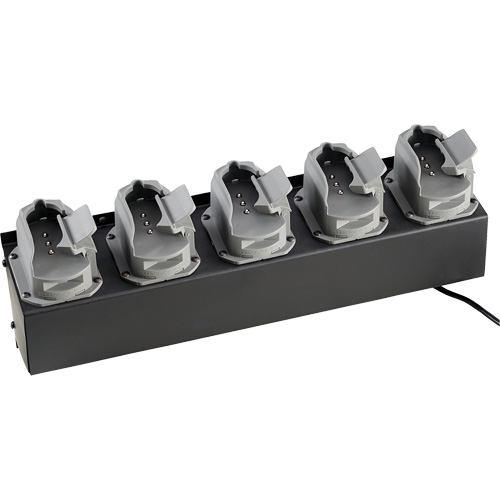 Chargeur de batteries de lampe de poche Survivor X Stor-it Systems