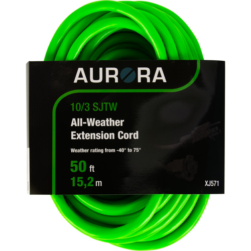 Cordon rallonge de calibre industriel, Toutes saisons, SJTW, AWG 10/3, 15 A, 50' Stor-it Systems