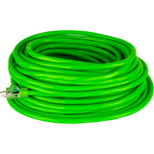 Cordon rallonge de calibre industriel, Toutes saisons, SJTW, AWG 10/3, 15 A, 50' Stor-it Systems