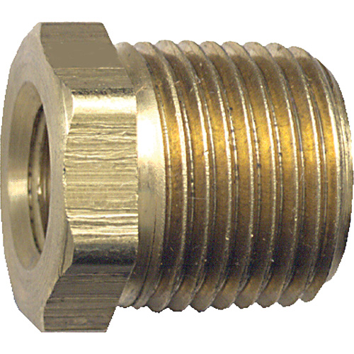 R&eacute;duction m&acirc;le-femelle pour tuyau, 3/8" x 1/4", NPT x FPT, Laiton Stor-it Systems