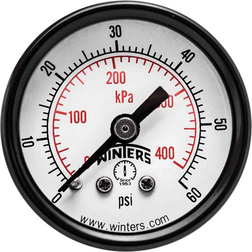 Economy Pressure Gauge, 1-1/2" , 0 - 60 psi, Back Mount, Analogue Stor-it Systems