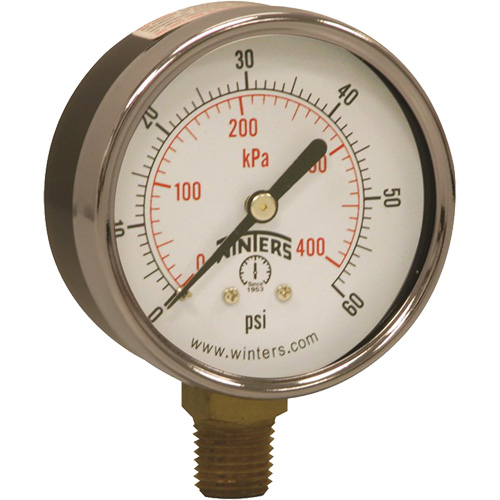 Economy Pressure Gauge, 2-1/2" , 0 - 60 psi, Bottom Mount, Analogue Stor-it Systems