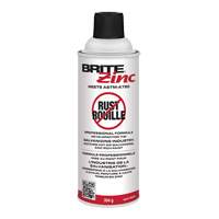 Inhibiteur de corrosion BRITE Zinc, Canette a&eacute;rosol Stor-it Systems
