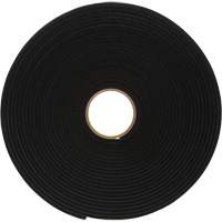 Ruban de mousse en vinyle 4504, 25,4 mm (1") la x 16,5 m (54') lo, 250 mils, Noir Stor-it Systems
