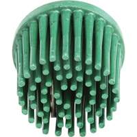 Disques bristle Roloc, Grain 120, 1" dia. Stor-it Systems