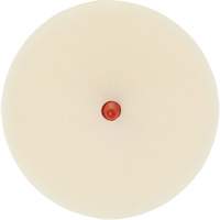 Disque pour enlever les bandes et les adh&eacute;sifs pour moulures Scotch-Brite, 4" dia. Stor-it Systems