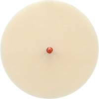 Disque Scotch-Brite 7502 pour retrait de colle et de bandes de moulage, 6" dia. Stor-it Systems