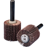 Meule &agrave; lamelles &agrave; usage g&eacute;n&eacute;ral, Oxyde d'aluminium, Grain 60, 1" x 1" x 1/4" Stor-it Systems