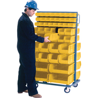 Support mobile deux c&ocirc;t&eacute;s pour bacs, &agrave; deux c&ocirc;t&eacute;s, 96 bacs, 36" la x 24" p x 63" h Stor-it Systems