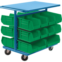 Bin Cart with Bins, Double-sided, 20 bins, 24" W x 38-1/2" D x 36-1/2" H Stor-it Systems