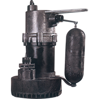 Electric Sump/Effluent Pumps
