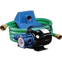 Non-Submersible, Self-Priming Plated Brass Transfer Pumps, 115 V, 360 GPH, 1/10 HP DC293 | Stor-it Systems