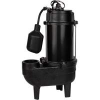 Cast Iron Sewage Pump, 120 V, 10 A, 6400 GPH, 3/4 HP DC849 | Stor-it Systems