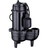 Cast Iron Sewage Pump, 120 V, 10 A, 6400 GPH, 3/4 HP DC849 | Stor-it Systems