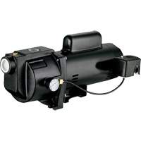 Dual Voltage Cast Iron Shallow Well Jet Pump, 115 V/230 V, 1260 GPH, 1 HP DC854 | Stor-it Systems