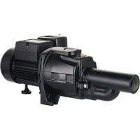 Dual Voltage Cast Iron Convertible Jet Pump, 115 V/230 V, 1100 GPH, 1/2 HP DC855 | Stor-it Systems