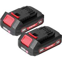 Piles au lithium 2.0Ah- Paquet de 2, 20 V Stor-it Systems