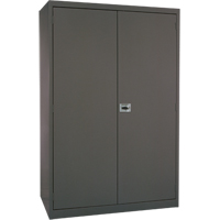 Deep Hi-Boy Storage Cabinet, Steel, 4 Shelves, 72" H x 36" W x 24" D, Charcoal Stor-it Systems