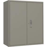 Lo-Boy Storage Cabinet, Steel, 2 Shelves, 40" H x 36" W x 18" D, Grey Stor-it Systems