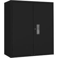 Lo-Boy Storage Cabinet, Steel, 2 Shelves, 42" H x 36" W x 18" D, Black Stor-it Systems