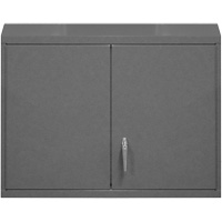 Armoire murale, 27" h x 29-7/8" la x 13-11/16" p, 2 tablettes, Acier, Gris Stor-it Systems