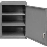 Armoire murale, 27" h x 13-11/16" la x 18" p, 2 tablettes, Acier, Gris Stor-it Systems
