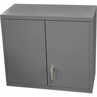 Armoire murale, 27" h x 13-11/16" la x 35-7/8" p, 2 tablettes, Acier, Gris Stor-it Systems