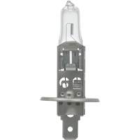 64155 Ampoule automobile de base, Halog&egrave;ne, 78 W, Blanc cass&eacute; Stor-it Systems