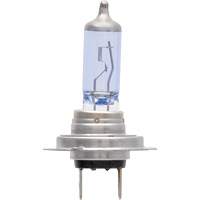 H7 SilverStar&reg; zXe Headlight Bulb, Halogen/HID, 56 W, White Stor-it Systems