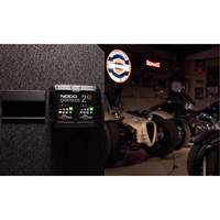 Genius&reg; 2X2 2-Bank, 4-Amp Battery Charger Stor-it Systems