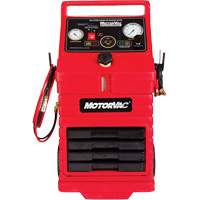 CarbonClean 245 Gasoline Engine System Stor-it Systems