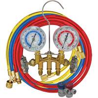 Ensemble de jauge &agrave; collecteur en laiton 2 voies R134A Stor-it Systems