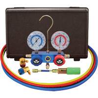 Ensemble de manom&egrave;tre &agrave; collecteur &agrave; deux voies pour l'automobile R134A avec mini injecteur de colorant Stor-it Systems