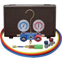 Jeu de manom&egrave;tres pour automobile avec mini-injecteur de colorant et coupleurs manuels Stor-it Systems