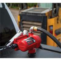 Pompe de transfert de carburant 12 V CC avec pistolet Stor-it Systems