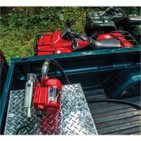 Pompe de transfert de carburant 12 V CC avec pistolet Stor-it Systems
