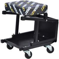 2-in-1 Seat-Stool Combo Stor-it Systems