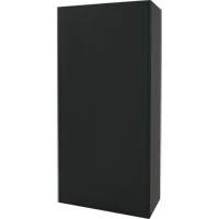 Armoire de rangement combin&eacute;e, 36" la x 18" p x 72" h, Noir Stor-it Systems