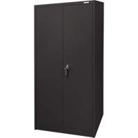 Armoire d'entreposage, Acier, 4 Tablettes, 66" h x 30" la x 15" P, Noir Stor-it Systems