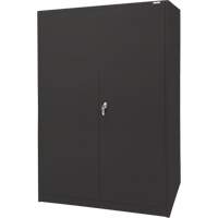 Armoire d'entreposage, Acier, 4 Tablettes, 78" h x 48" la x 24" P, Noir Stor-it Systems
